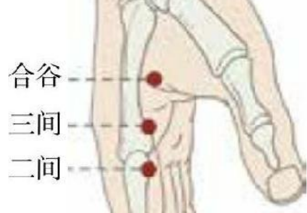 常见病症及穴位插图