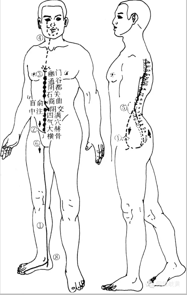 十二正經(jīng)奇經(jīng)八脈圖插圖