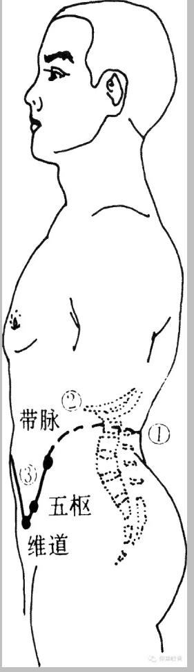 十二正經(jīng)奇經(jīng)八脈圖插圖1