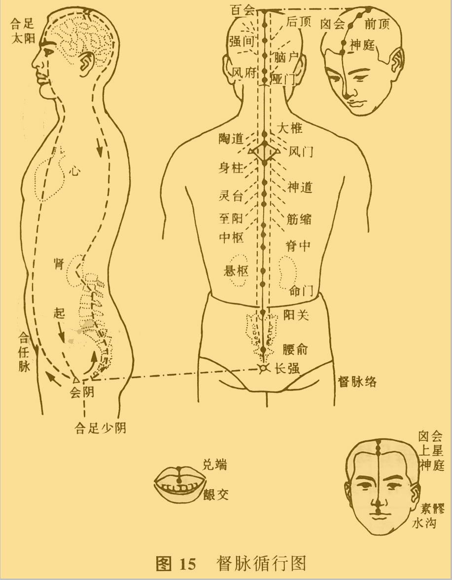 十二正經(jīng)奇經(jīng)八脈圖插圖3