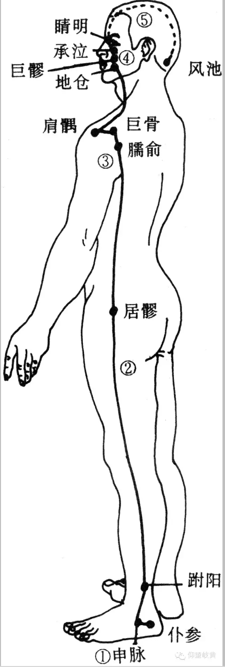十二正經(jīng)奇經(jīng)八脈圖插圖8